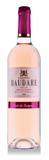 [W1536] Fronton - Rosé de saignée (Baudare) 2023